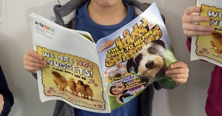 guide to help animals