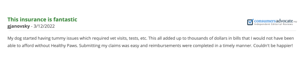 image of a text review of pet insurance