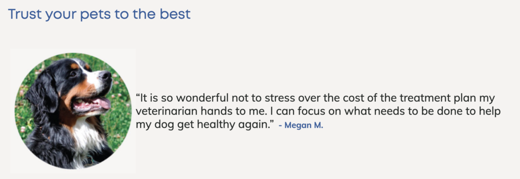 image of a dog and a review of pet insurance next to it