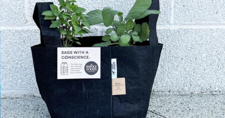 whole foods planting tote