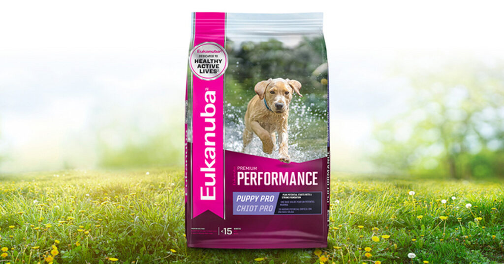 eukanuba eukanuba