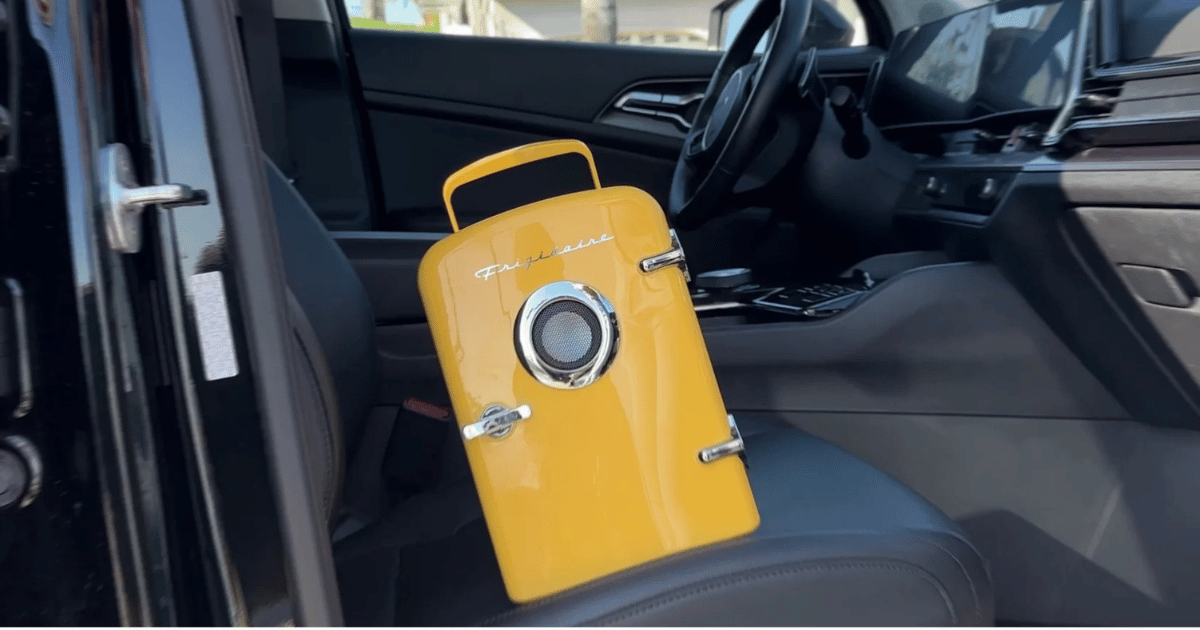 Frigidaire Mini Fridge Frigidaire Mini Fridge