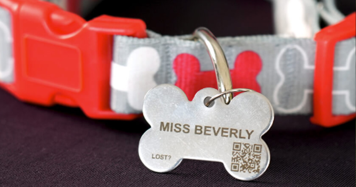 Free Pet Tags from fidopet - The Freebie Guy