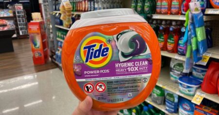 kendall tide