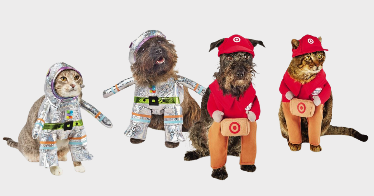 pet costumes