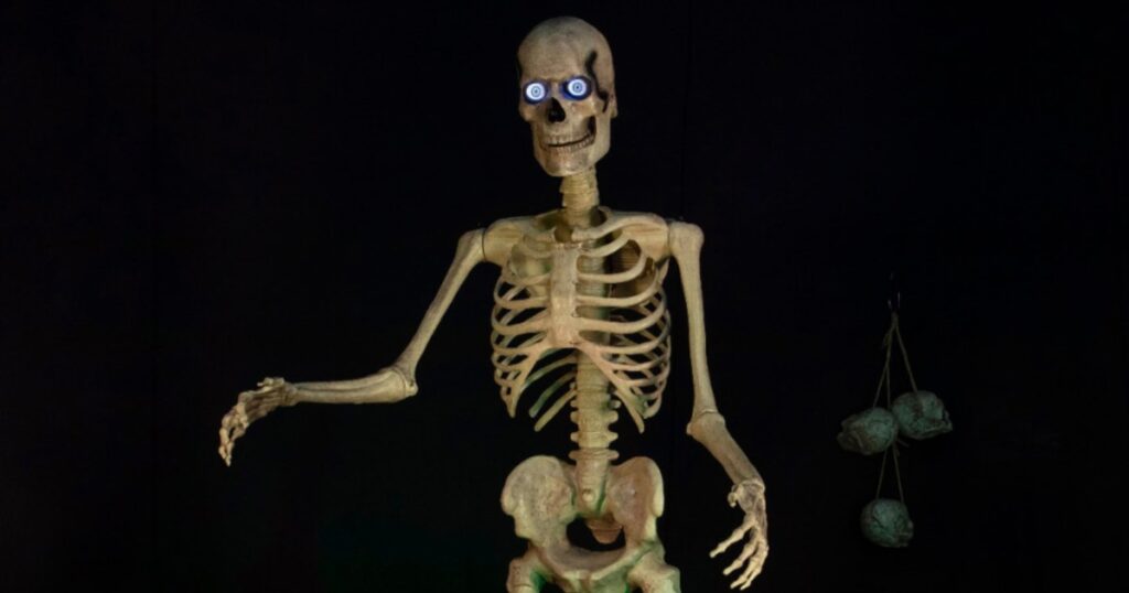 FT SKELETON