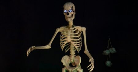 FT SKELETON
