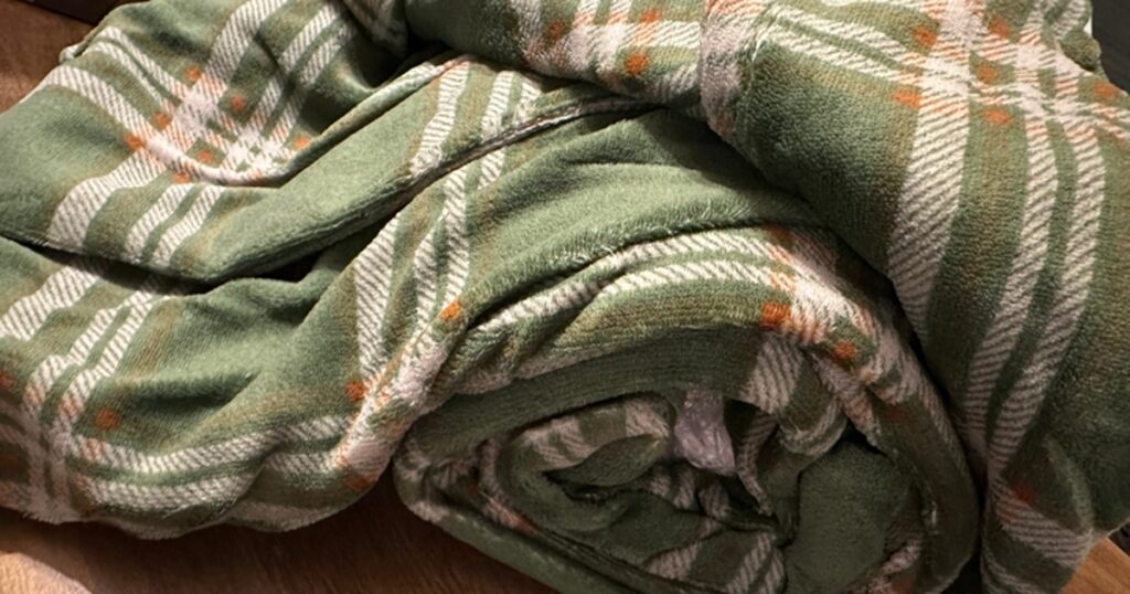 Biddeford Electric Heated Microplush Throw Blanket