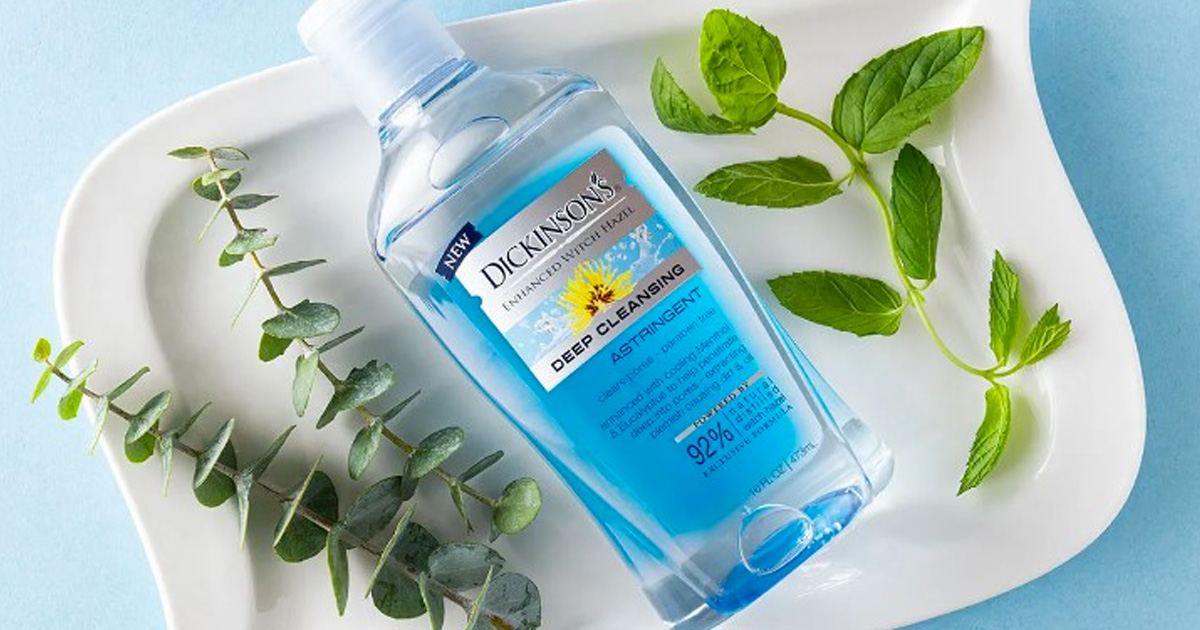 dickinson deep clean