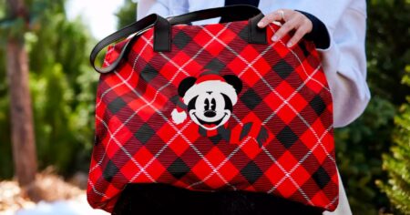 mickey tote