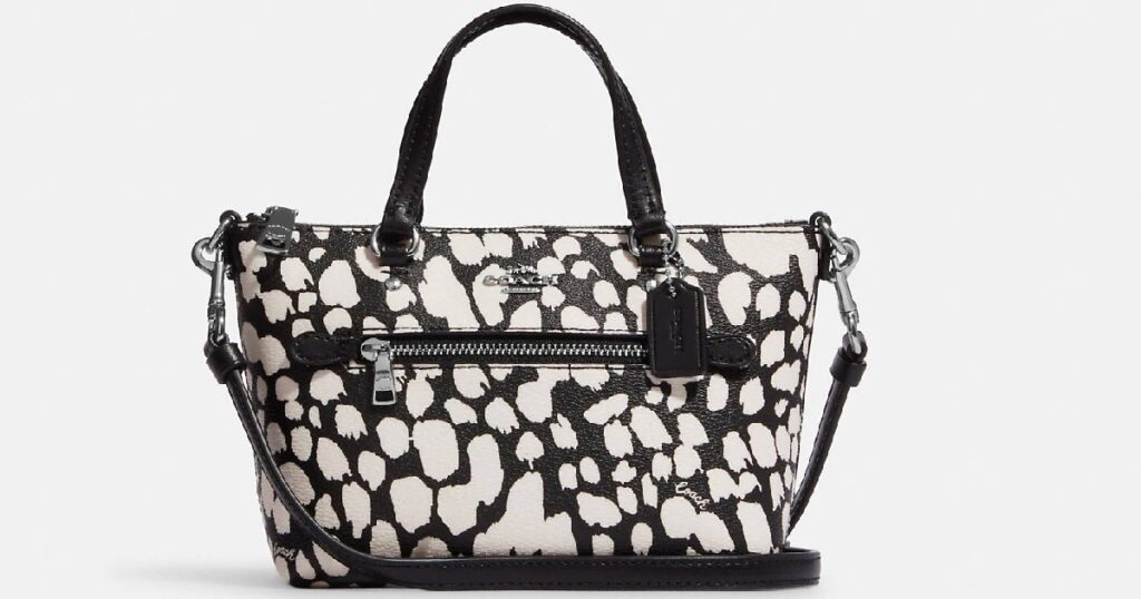 Coach mini crossbody