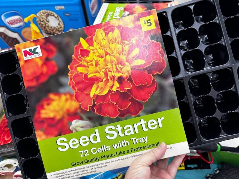 Dollar General Seed Starter