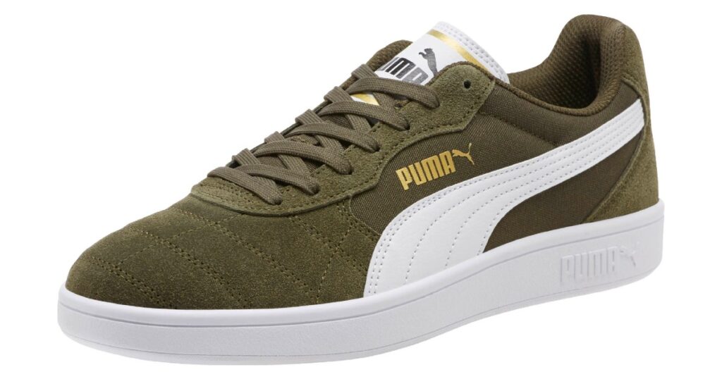 Puma astro