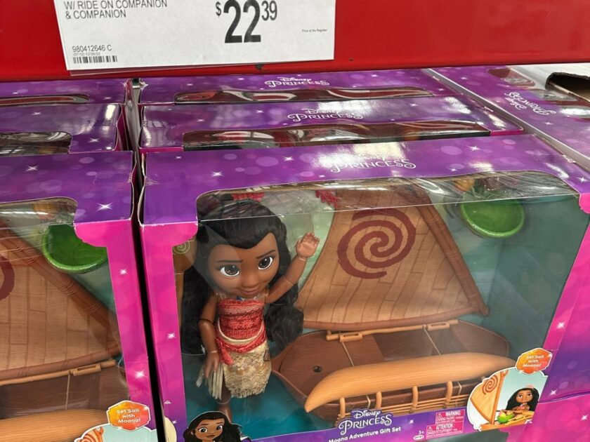 Disney Princess Moana Adventure Doll Set