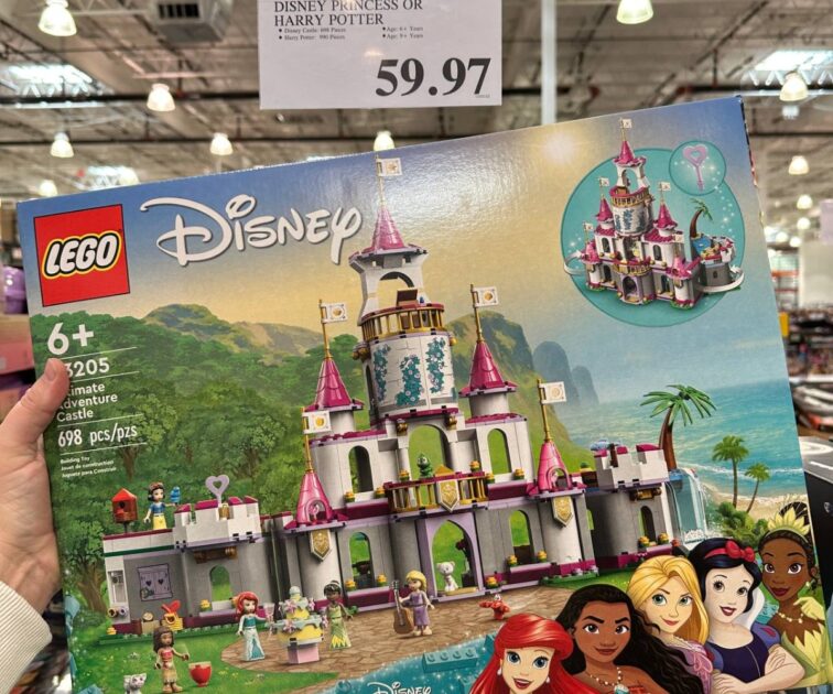 LEGO Disney Princess