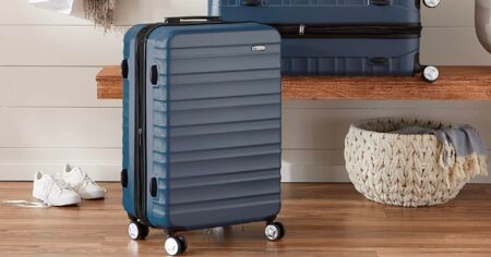 amazon basics luggage