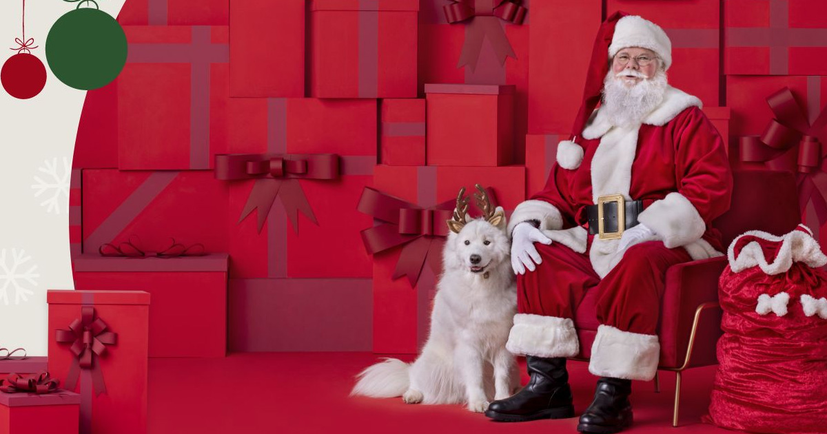 santa pet photos