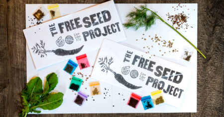 seed project