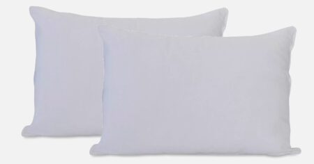 CHARTER CLUB PILLOWS