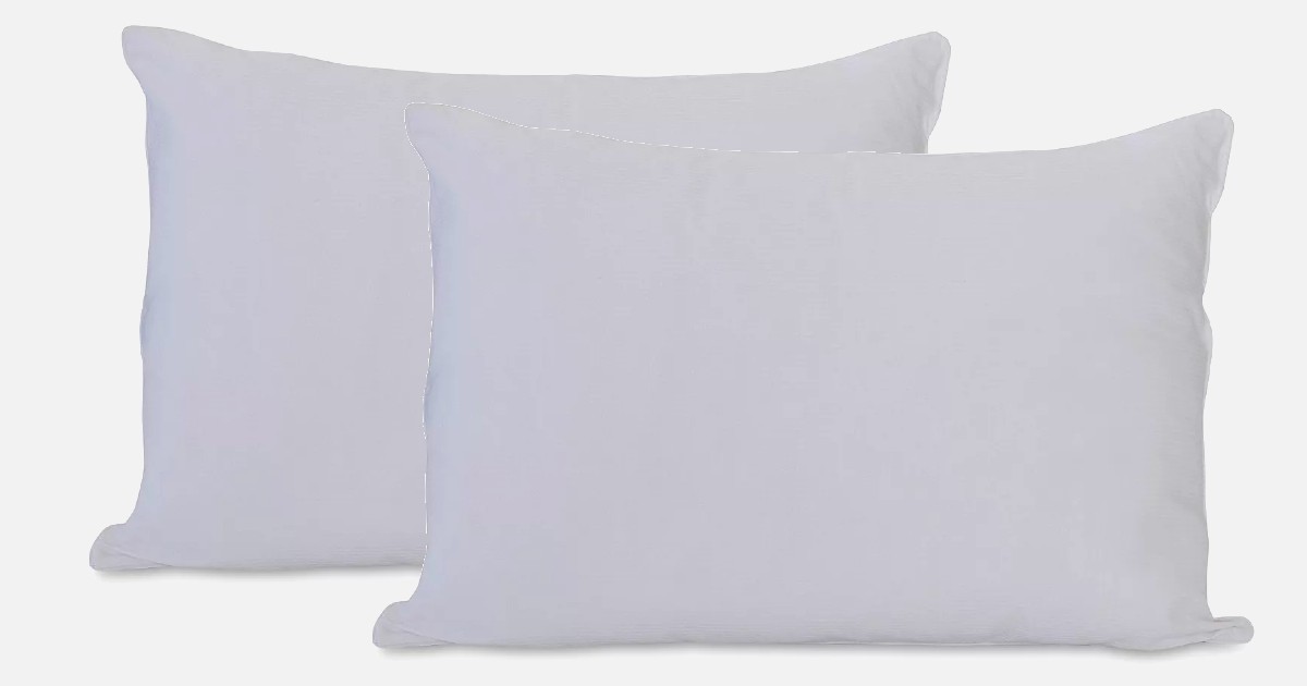 CHARTER CLUB PILLOWS
