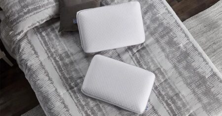 Sealy Memory Foam Bed Pillows