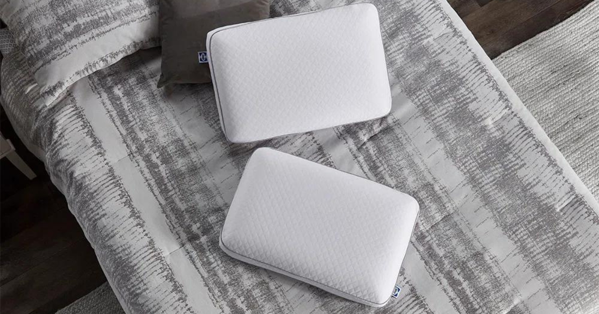 Sealy Memory Foam Bed Pillows