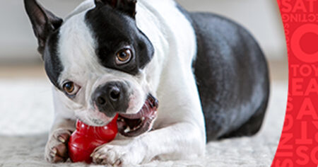 pet smart super bowl