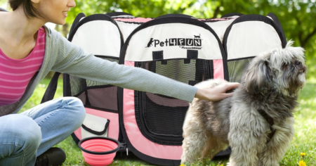 Portable Pet Playpen