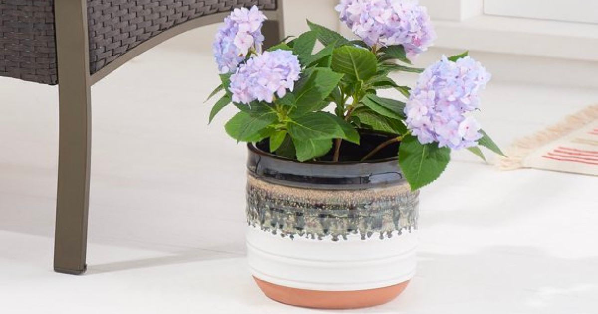 better homes and gardens