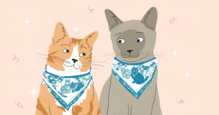catbandana