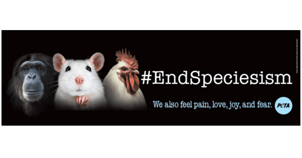end speciesism