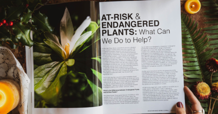 mountain rose herbs journal