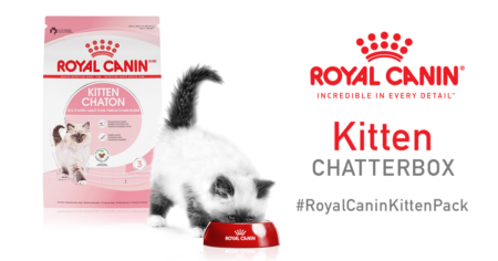 Apply to try Royal Canin Dry Kitten Food with Ripple Street