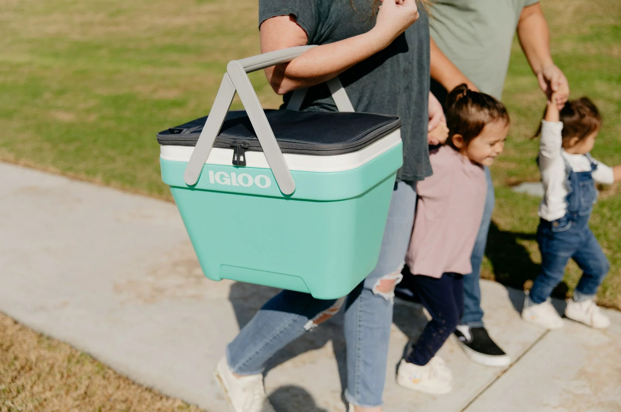 Igloo 25 qt. Hard Sided Ice Chest