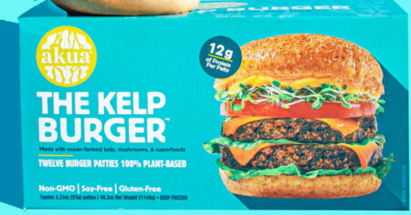 kelp burger