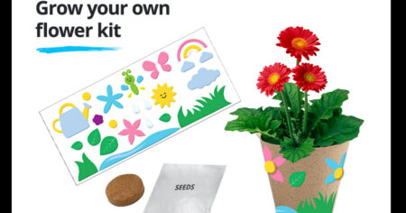kids grow flowers
