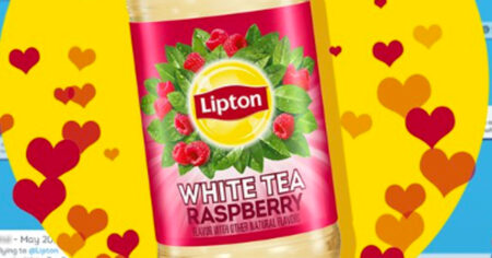 lipton white tea raspberry