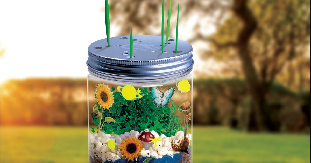 Discovery Toys Terrarium