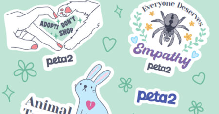 peta stickers