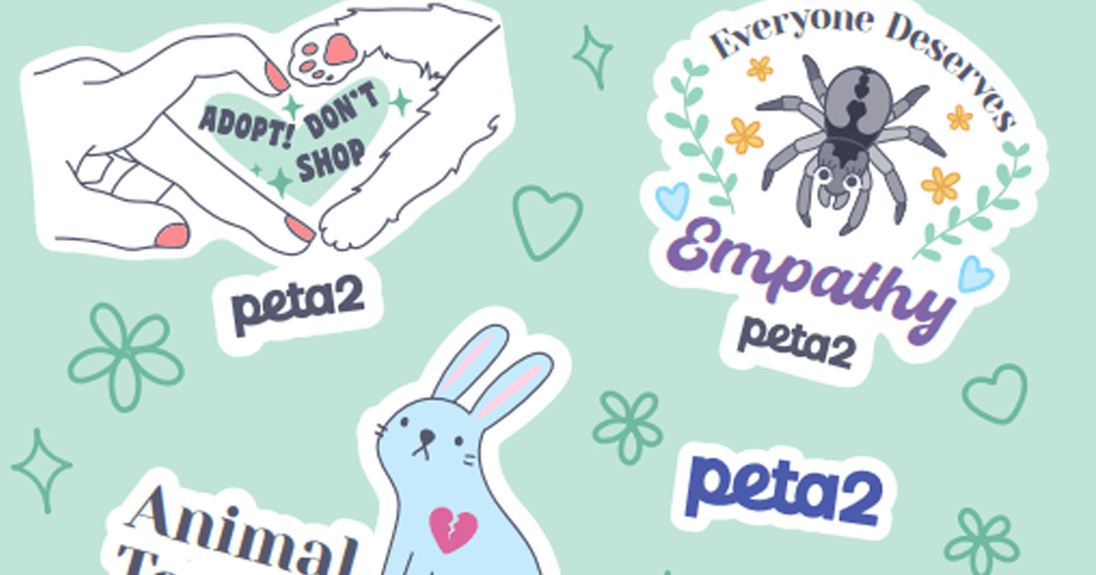 peta stickers