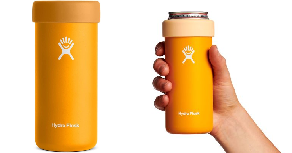 Hydroflask Starfish Slim Cooler CUp