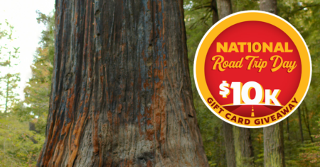 Pilot Flying J NationalRoadTripDayGiveaway