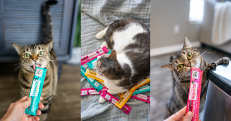 Possible Free I and love and you Pet Healthy Cat Treats with Social Nature