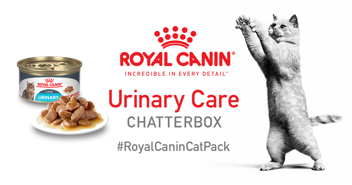 Royal Canin Urinary Care Chatterbox