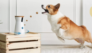 Furbo Dog Camera Furbo Dog Camera