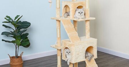 cat tree