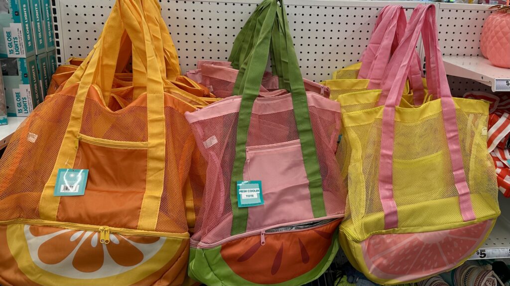 FIVE BELOW COOLER BAG IMG scaled