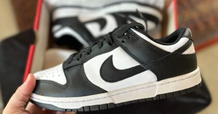 Hand holding a Nike Dunk Low black and white sneaker