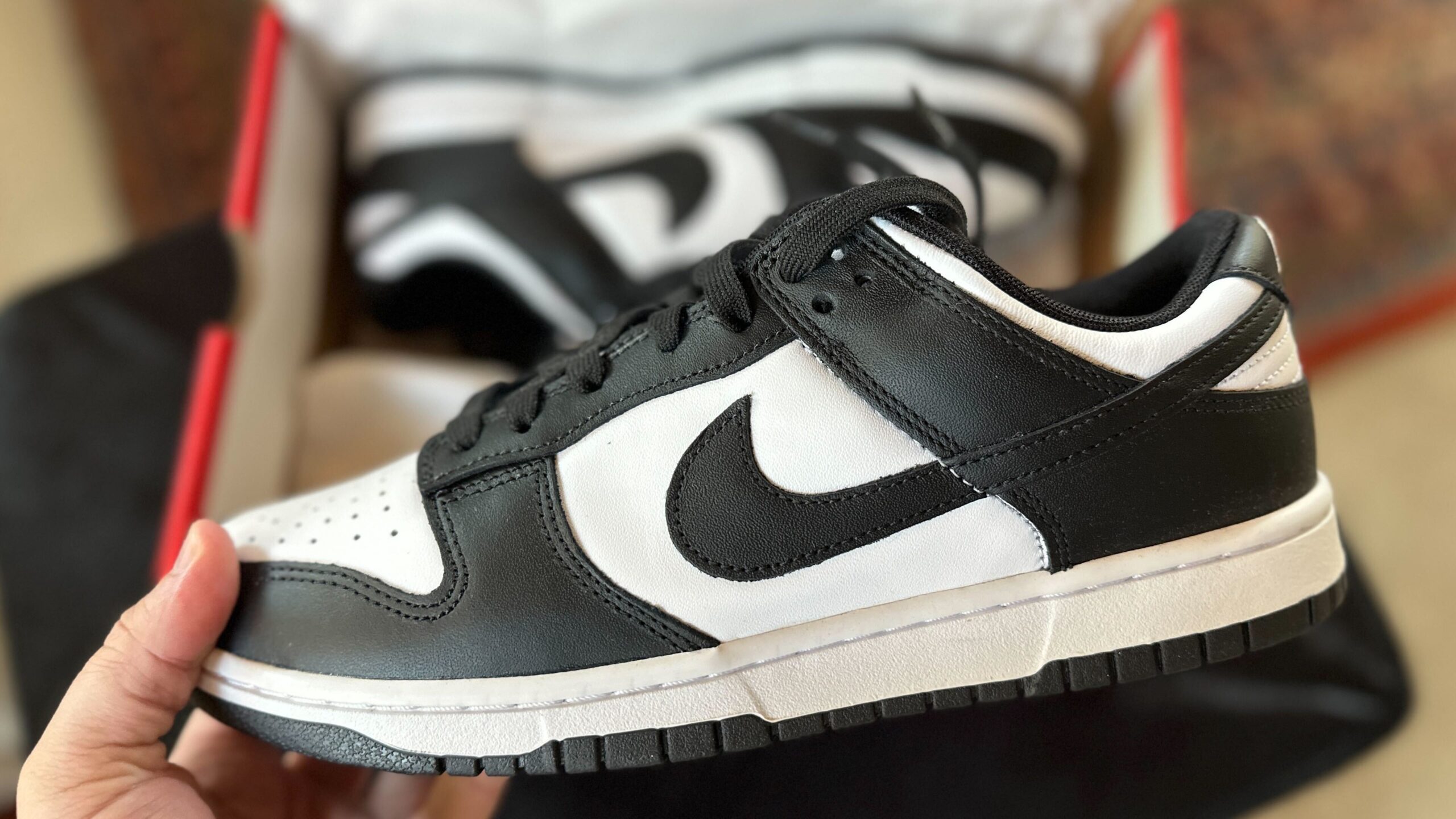 Nike dunk panda low Hand holding a Nike Dunk Low black and white sneaker