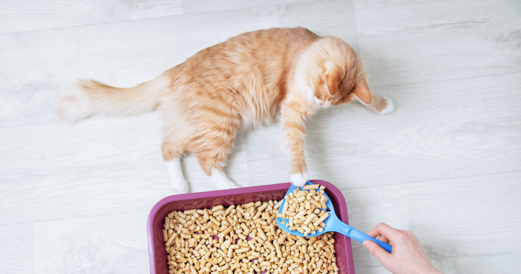 Naturally Fresh Shelter Litter Sweepstakes